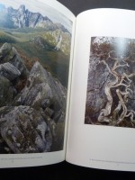 Dombrovskis: A Photographic Collection