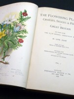 The Flowering Plants, Grasses, Sedges and Ferns of Great Britain