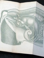 A Practical Treatise on the Breeding Cow