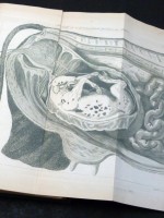A Practical Treatise on the Breeding Cow