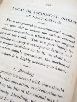 A Practical Treatise on the Breeding Cow