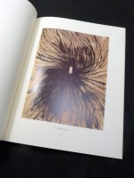 Anish Kapoor: Drawings