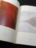 Anish Kapoor: Drawings