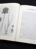 A Little History of British Gardening (Signed copy)