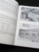 The Excavations of the Roman Forts of the Classis Britannica at Dover 1970&ndash;1977