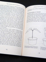 The Scientific Basis of Astrology