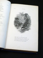 The Lady of the Lake
