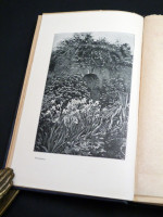 Wood and Garden (Inscribed copy)