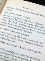 Douaumont, or the Return of the Soldier Ulysses