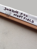 Night Field (2000) by David Holt