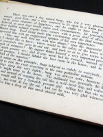 The Quarrelsome Dog, Translated Freely from the German