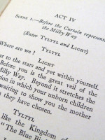 The Betrothal, or The Blue Bird Chooses