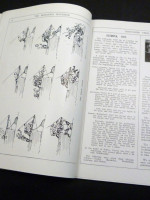 The Britannia Magazine, Vol XXXVIII, No 126. Midsummer 1923