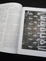 The Britannia Magazine, Vol XXXVIII, No 126. Midsummer 1923