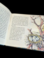Raven the Rascal, A Nature Story