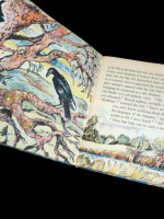 Raven the Rascal, A Nature Story