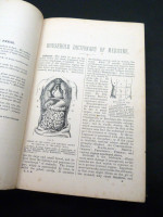 A Household Dictionary of Medicine, Preventative and Curative