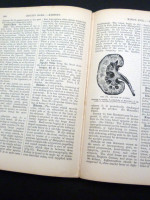 A Household Dictionary of Medicine, Preventative and Curative