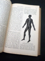 A Household Dictionary of Medicine, Preventative and Curative