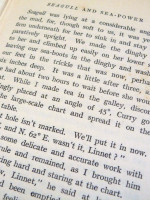 Seagull and Sea-Power