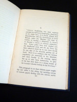 Seagull and Sea-Power