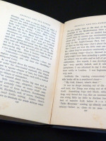 Seagull and Sea-Power