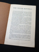 The Welsh Republic