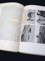 'T E Lawrence' in Arabia and After