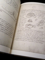 The Three Books of the Potter's Art