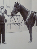 1890s albumen print of Victorian girl sitting side saddle on a horse