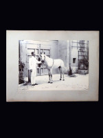 1890s albumen print of a Victorian gentleman and a fine black horse