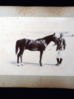 1890s albumen print of a Victorian gentleman and a fine black horse