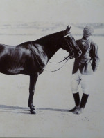 1890s albumen print of a Victorian gentleman and a fine black horse