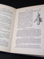 The Book of Vegetable Cookery, Usual and Unusual