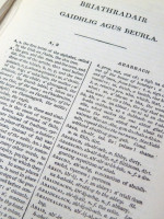 A Pronouncing Gaelic Dictionary