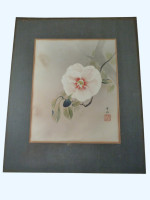 Camelia, original Japanese watercolour