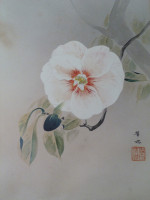 Camelia, original Japanese watercolour