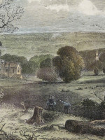 Original hand-coloured engraving: Site of the Crystal Palace in 1852