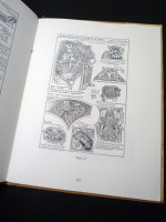 Celtic Art, The Methods of Construction