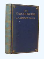 The Caddis-Worm