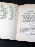 Vronina, A Tale of the Welsh Mountains