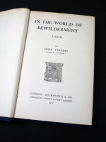 In the World of Bewilderment