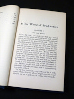 In the World of Bewilderment