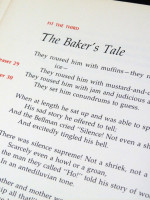The Snark Puzzle Book