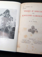 Trees and Shrubs for English Gardens