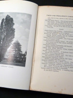 Trees and Shrubs for English Gardens