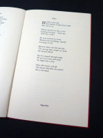 Loss of the Magyar and other poems