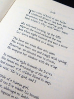 Loss of the Magyar and other poems