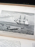 The Mysteries of the Ocean