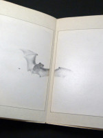 Gardening Heresies and Devotions (Signed copy)